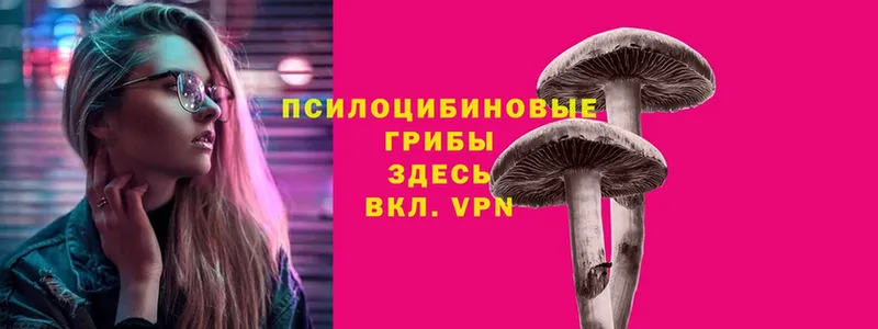 Галлюциногенные грибы Cubensis  Катайск 